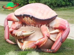 Inflatable Buuble Hotel, Custom Inflatable Crab For Decoration and Bubble Hotels Rentals