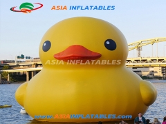 Custom Cute Inflatable Duck Cartoon For Pool Floating. Top Quality, 3 Years Warranty.