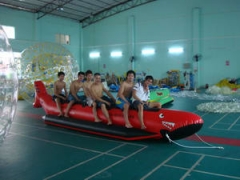 Single Tube Red Inflatable Shark Boat
