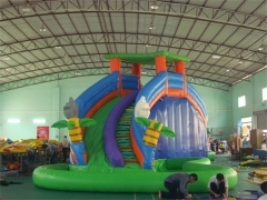 Inflatable Curved Water Slide