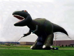 Nova chegada Dinossauros infláveis ​​para o parque jurássico