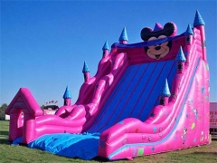Mickey Mouse Inflatable Slide