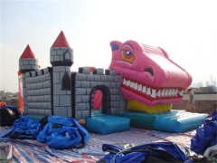 Snappy Dragons Castle