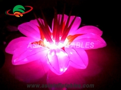  flor inflável da iluminação colorida