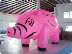 balão inflável para suínos