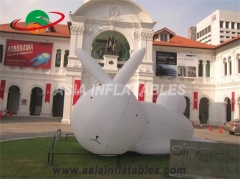 coelho inflável da arte